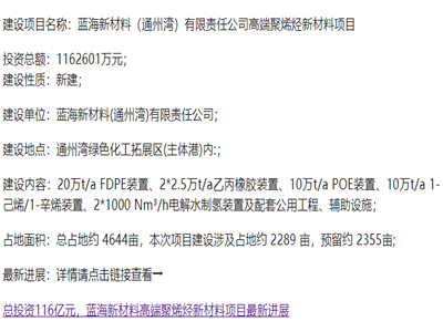 总投资约222亿元，百万吨乙烯及高端化工新材料项目环评公示
