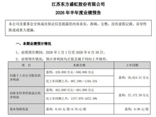 荣盛、盛虹、恒力、恒逸谁最赚钱？四大民营炼化巨头发布2026年半年度业绩