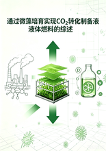 《通过微藻培育实现 CO₂转化制备液体燃料的综述》目录&前言