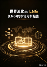《世界液化天然气(LNG)的市场分析报告》序言&目录