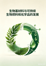 《生物基材料与可持续生物燃料和化学品的发展》序言&目录