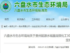 贵州能源水城 30 万吨甲醇技改项目环评受理