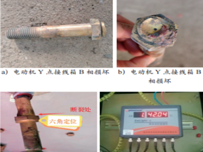 化工工程中氨冷冻主电动机引线损坏停车事故分析及预防措施研究