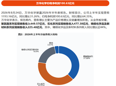 万华化学净利润超100亿元，东华能源净利润增长超224%，荣盛石化净利润增长超748%