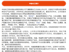 巩峰任中盐化工董事长，252亿项目推进