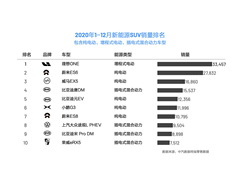 终端销量出炉，理想ONE成2020年新能源SUV销冠