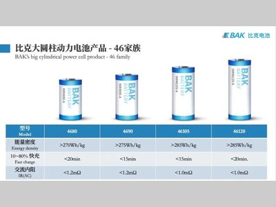比克电池樊文光：大圆柱电池是未来5-10年内中高端电动车的最优解