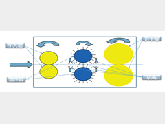 冲压过程中的清洁度控制