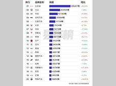 国内品牌销量榜公布！比亚迪超大众丰田总和