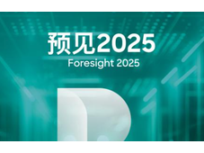 罗兰贝格：2025中国汽车行业六大趋势