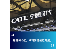 宁德时代2024年业绩预报：增利不增收