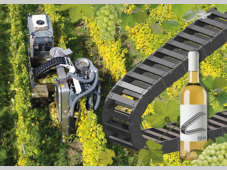 负责采摘葡萄的机器