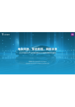 2024中国AIEV产业年度回顾及2025趋势洞察研究报告