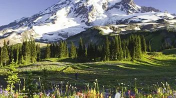 图片10-NatureScapes.jpg
