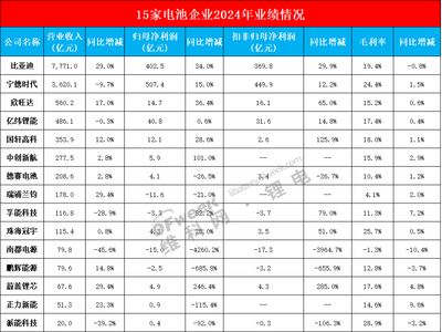 15家电池企业2024年业绩收官！