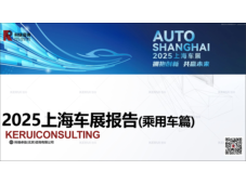2025年上海车展报告-乘用车篇