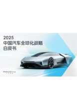 2025中国汽车全球化战略白皮书