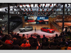 放天性 去野行 智趣烈马、新蒙迪欧双星闪耀