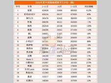 2025中国最畅销轿车TOP20 微小型车成冠亚军