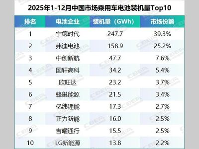 2025年中国市场乘用车动力电池装机TOP10解析