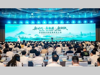 宝钢股份发布新能源用材品牌，背后藏着什么大招？