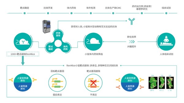 百奥赛图独特的新药开发流程