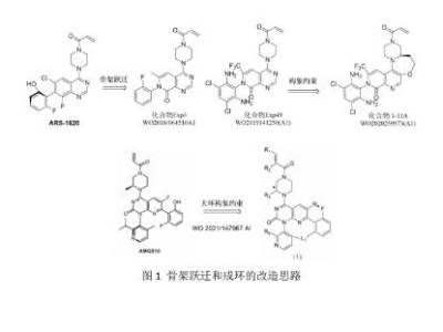 专利分析之小分子药物设计（药明康德ddsu篇）