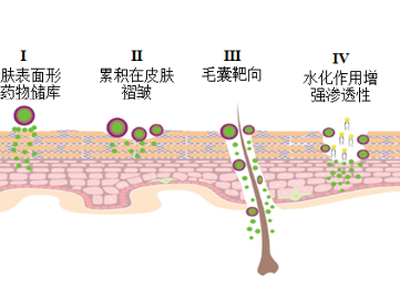 纳米载体介导的皮肤给药