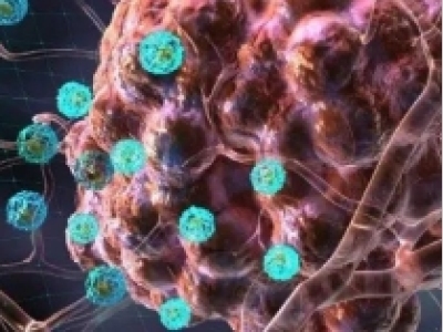 靶向腺苷途径的肿瘤免疫治疗