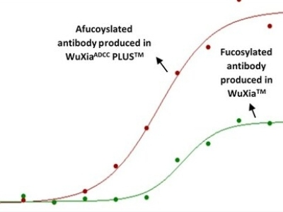 药明生物推出全新细胞株平台WuXia ADCC PLUS™ 赋能合作伙伴研发生产高ADCC活性无岩藻糖基化抗体