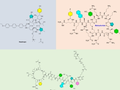 大环肽——多肽药物未来的方向