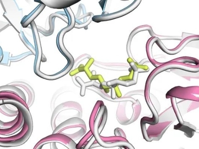 Nature｜AlphaFold的重大升级为药物发现提供了动力