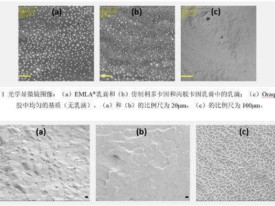 FDA观点：利多卡因/丙胺卡因外用制剂的物理和结构特性（Q3）与产品体内外性质的相关性