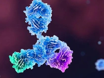 近70亿！大湾区一家Biotech卖了