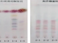 感冒清热一步制粒制备工艺研究