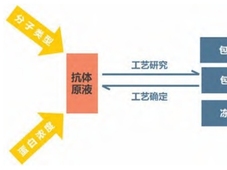 抗体原液冻融过程中稳定性探究及冻融工艺建立