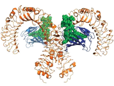 制药用水终端超滤与验证