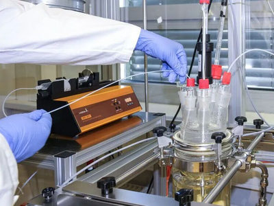 量身定制明胶：新型反应器系统实现生物聚合物改性的规模化生产