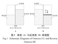 影响反渗透工艺产水质量的因素分析