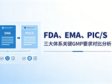 FDA、EMA、PIC/S 三大体系关键GMP要求对比分析