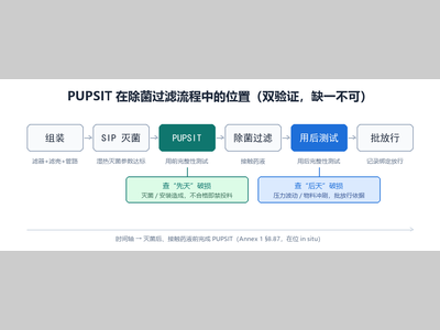除菌过滤与PUPSIT：无菌制剂的"最后一道合规屏障"，选错设备成本翻倍