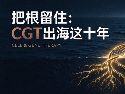 把根留住：CGT出海这十年