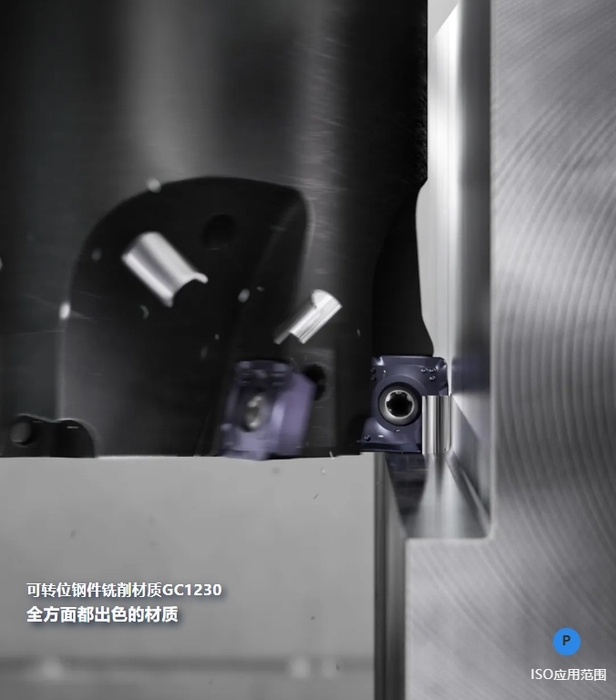 微信截图_20241011162115