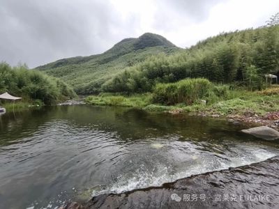 销售赋能·团队共进 | 富莱克莫干山团建圆满收官！
