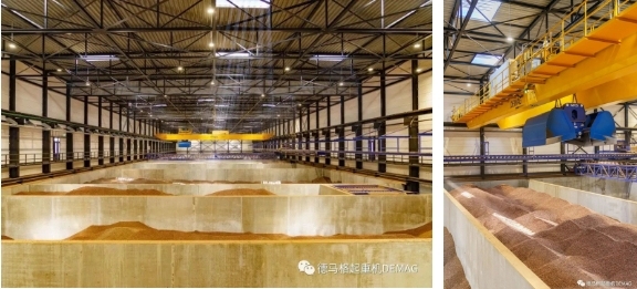 微信截图_20231113165830