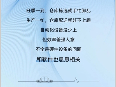 兰剑智能丨好料更要配好厨，才能做出世界智仓