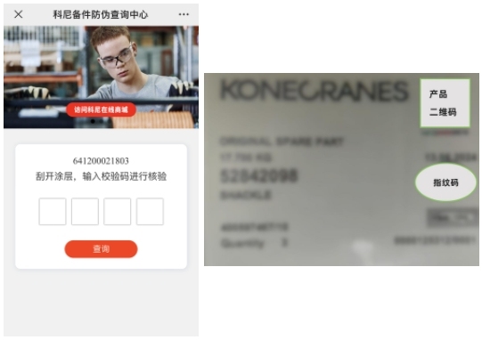 微信截图_20241010162539