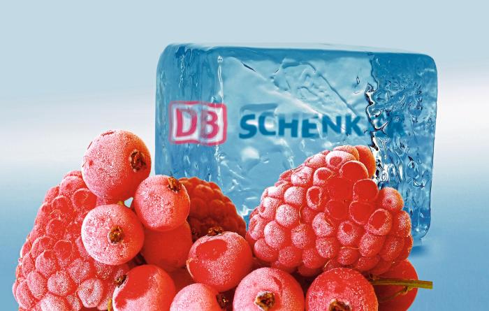 图2 DB Schenker公司掌握了从生鲜食品生产到零售商的整个冷链物流供应链