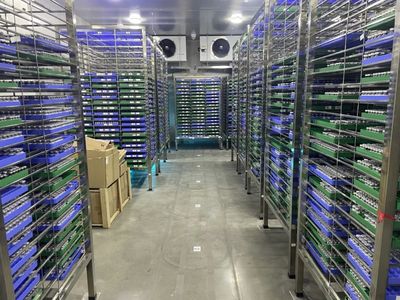 行业案例 | 牧星破解冷链企业效率困局