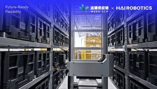 单日履约5.3万件！运德供应链携手海柔打造高效履约智能海外仓